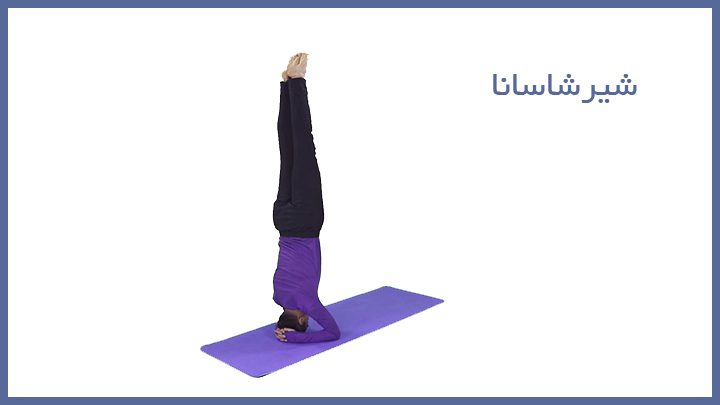 free 2 - نمونه آموزش ها