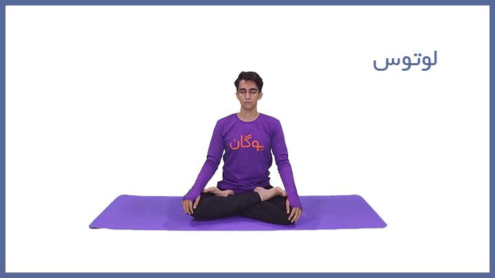 free 4 - نمونه آموزش ها