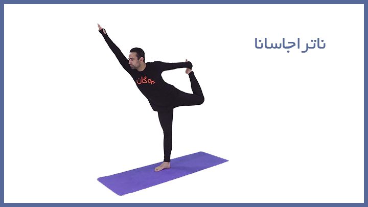 free 6 - نمونه آموزش ها