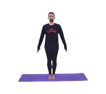 تاداسانا